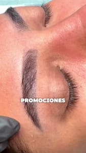 Eyebrow Tattoo result by Brows Beauty Lash Tampa in Lutz, FL