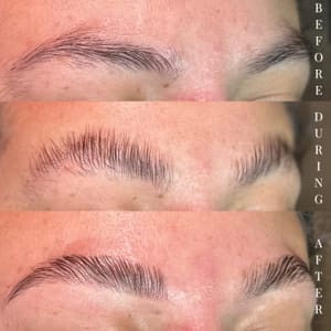 Eyebrow Tattoo result by Brows + Beyond in Woodhaven, MI