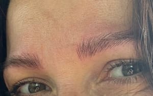 Eyebrow Tattoo result by Brows & Brows in Hallandale Beach, FL