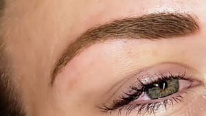 Eyebrow Tattoo result by Brows By Denise M. in Girard, OH