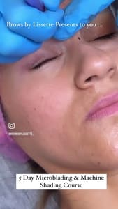 Eyebrow Tattoo result by Brows by Lissette in Fishers, IN