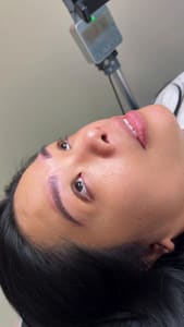 Eyebrow Tattoo result by Brows By Master Holly in Tampa, FL