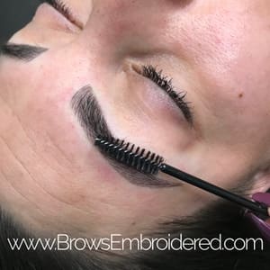 Eyebrow Tattoo result by Brows Embroidered Microblading and Powder Combo in Vacaville, CA