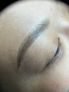 Eyebrow Tattoo result by Brows Fabulous in Modesto, CA