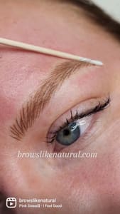 Eyebrow Tattoo result by Brows LikeNatural in The Woodlands, TX