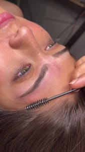 Eyebrow Tattoo result by Brows & Lips Studio in Wesley Chapel, FL