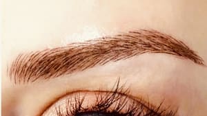 Eyebrow Tattoo result by Bry Schober Studio in Boynton Beach, FL