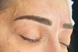 Eyebrow Tattoo result by Bry Schober Studio in Boynton Beach, FL