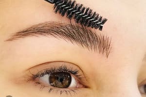 Eyebrow Tattoo result by Bry Schober Studio in Boynton Beach, FL