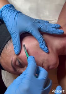 Eyebrow Tattoo result by BW Esthetics and Cosmetics in Sebring, FL