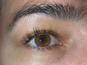 Eyebrow Tattoo result by Carissa Star Cosmetics in Middle Village, NY
