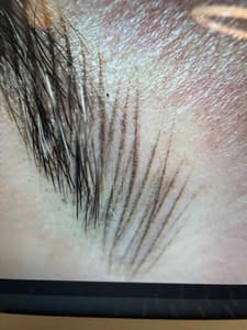 Eyebrow Tattoo result by Cilona Ink in Seattle, WA