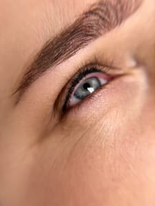 Eyebrow Tattoo result by Dahlia Studio PMU in Girard, OH