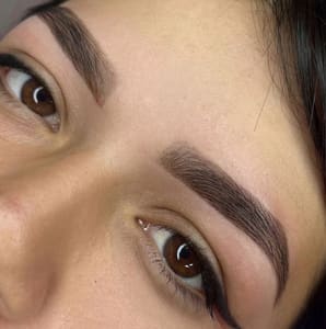 Eyebrow Tattoo result by Dani Brow Studio in Greenacres, FL