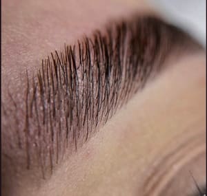 Eyebrow Tattoo result by Diana’s Beauty Studio LLC in Altamonte Springs, FL