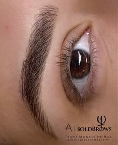 Eyebrow Tattoo result by Diny Brows Studio in Miami, FL