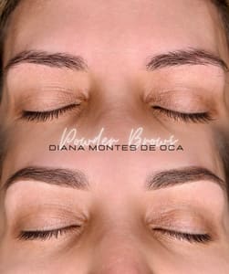 Eyebrow Tattoo result by Diny Brows Studio in Miami, FL