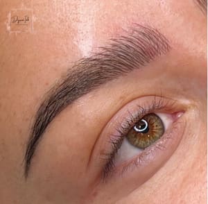 Eyebrow Tattoo result by Dyani Ink in Placentia, CA