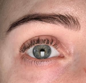 Eyebrow Tattoo result by E's Beauty in Richmond, TX