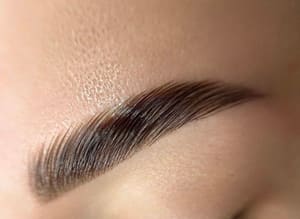 Eyebrow Tattoo result by Elena Saenko Permanent Makeup Studio in San Ramon, CA