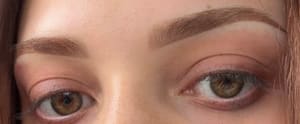Eyebrow Tattoo result by Elevated Artistry Studio in Amityville, NY