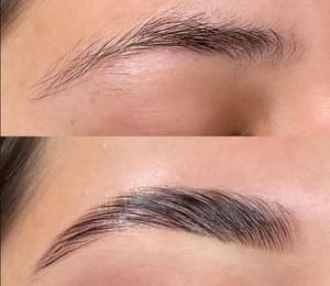 Eyebrow Tattoo result by Elevated Beauty in Redondo Beach, CA