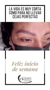 Eyebrow Tattoo result by Eli Permanent Makeup Academy & Studio in Houston, TX