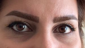 Eyebrow Tattoo result by Elise Beauty Brow in Pleasant Hill, CA