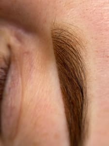 Eyebrow Tattoo result by Elite Eyelash Extensions & Permanent Makeup in Los Angeles, CA