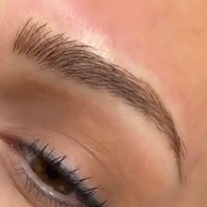 Eyebrow Tattoo result by Elle Permanent Beauty Inc. in Elk Grove Village, IL