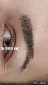 Eyebrow Tattoo result by Ellebrow Microblading & Permanent Makeup Studio NYC in New York, NY