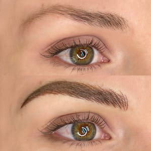 Eyebrow Tattoo result by Em Brows_pmu in Santa Monica, CA