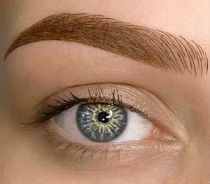 Eyebrow Tattoo result by Em Brows_pmu in Santa Monica, CA