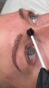 Eyebrow Tattoo result by Embellished by Lindsey in Grandville, MI