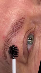 Eyebrow Tattoo result by Embellished by Lindsey in Grandville, MI