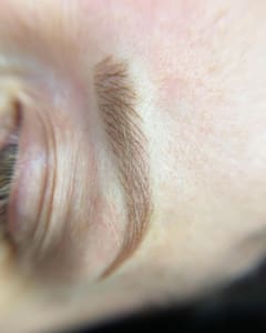 Eyebrow Tattoo result by Emblem Skin + Ink in Minnetonka, MN