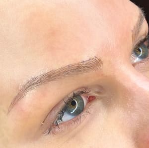 Eyebrow Tattoo result by Emily Hedrick in St Petersburg, FL