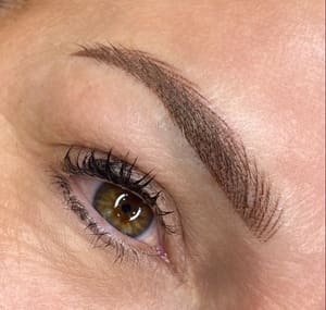 Eyebrow Tattoo result by Emily Ink Microblading, Nano Brows, Training And Permanent Makeup in St Petersburg, FL