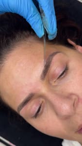 Eyebrow Tattoo result by Encanta Cejas in Plantation, FL