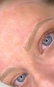 Eyebrow Tattoo result by Enhanced Beauty by Erica LLC in Zelienople, PA