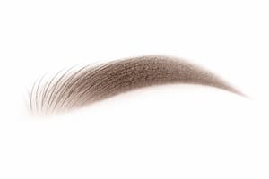 Eyebrow Tattoo result by Essence Permanent Makeup in Lynchburg, VA