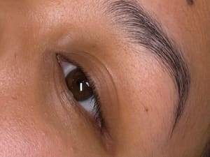 Eyebrow Tattoo result by Esthetics by Kaya in Virginia Beach, VA