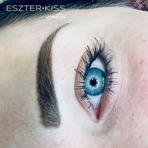 Eyebrow Tattoo result by Eszter Kiss Cosmetics by Magical Microblading in Lake Mary, FL
