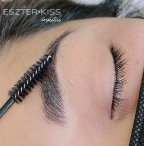 Eyebrow Tattoo result by Eszter Kiss Cosmetics by Magical Microblading in Lake Mary, FL