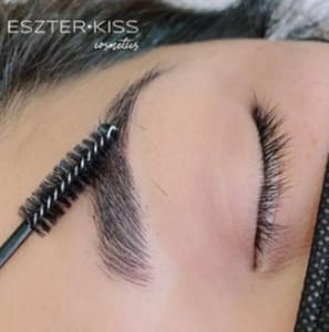 Eyebrow Tattoo result by Eszter Kiss Cosmetics by Magical Microblading in Lake Mary, FL