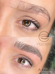 Eyebrow Tattoo result by Eye See Brow Beauty Spa in Rochester Hills, MI