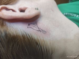 Eyebrow Tattoo result by Face and Body Essentials by Tina in Houghton Lake, MI