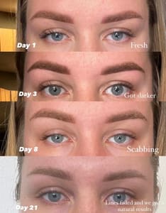 Eyebrow Tattoo result by Face Lab Socal in Woodland Hills, CA