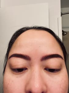 Eyebrow Tattoo result by Fangtastic Studios Tattoo & Permanent Make Up in White Bear Lake, MN