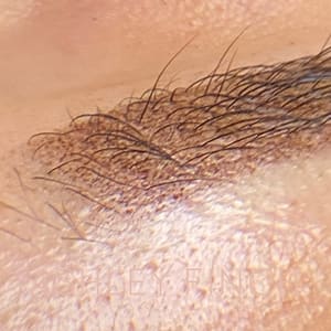 Eyebrow Tattoo result by Faux Real Brows by Ashley in Denison, TX